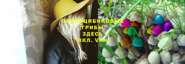 молекула духа Белокуриха