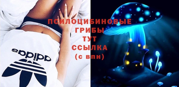 молекула духа Белокуриха