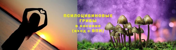молекула духа Белокуриха