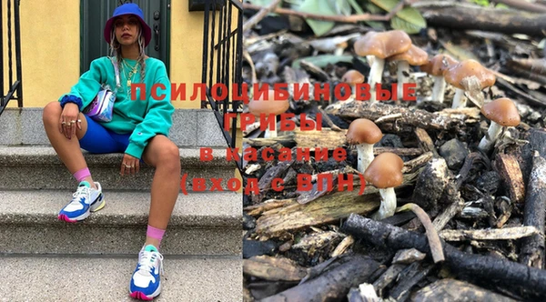 молекула духа Белокуриха