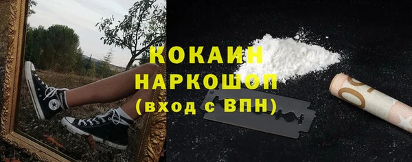 молекула духа Белокуриха