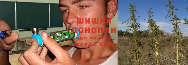 молекула духа Белокуриха